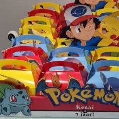 Pokemon Box